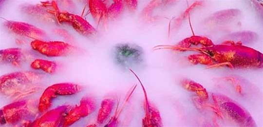 如何選擇山西高純氣體管道配管及附件材料？